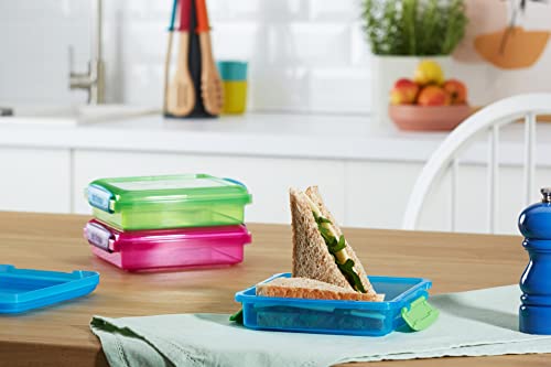 Sistema 450 ml Lunch Sandwich Boxes (3 Count) - Made in New Zealand