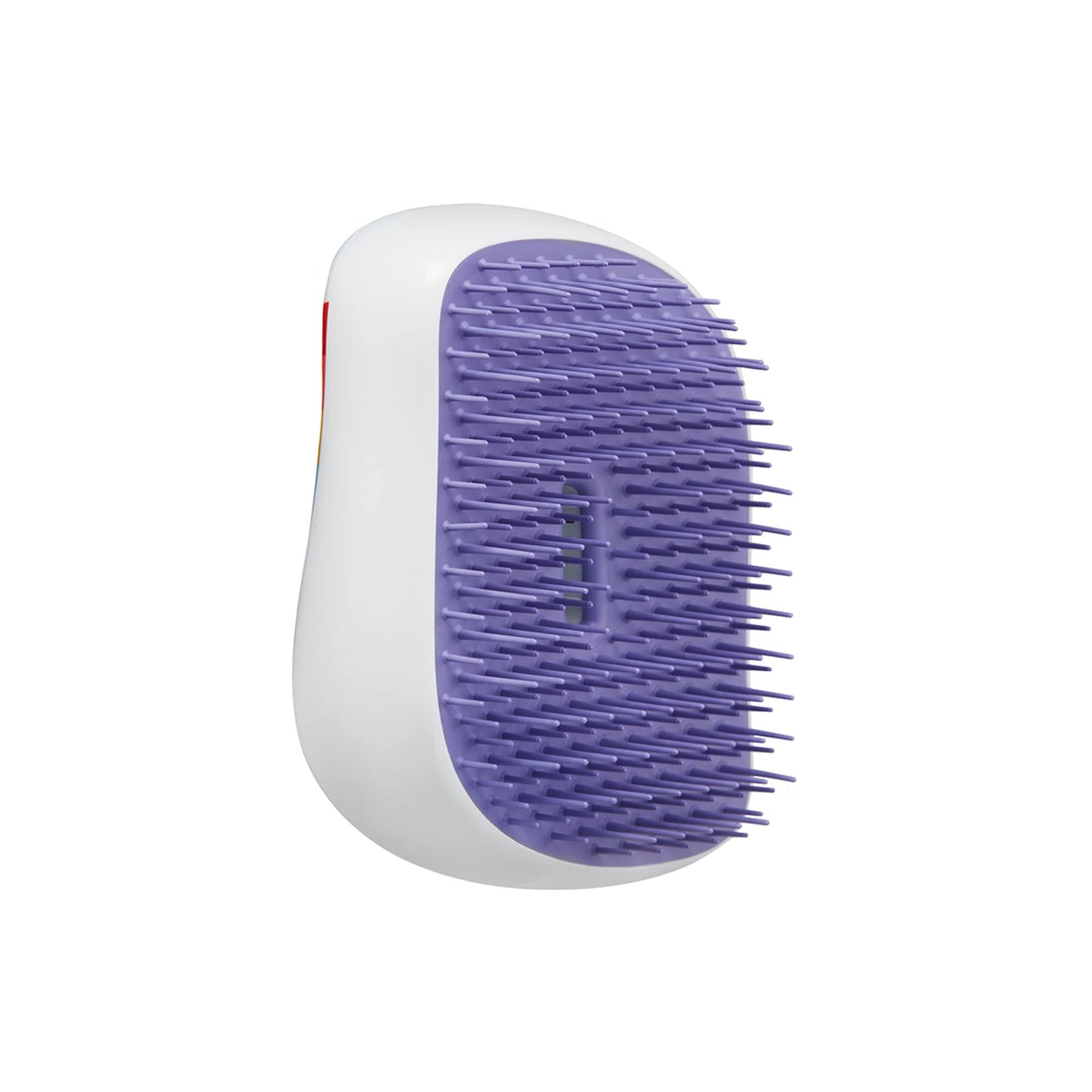 Tangle Teezer The Compact Styler Detangling Hairbrush for Wet & Dry Hair (Pride Power) - Made in UK