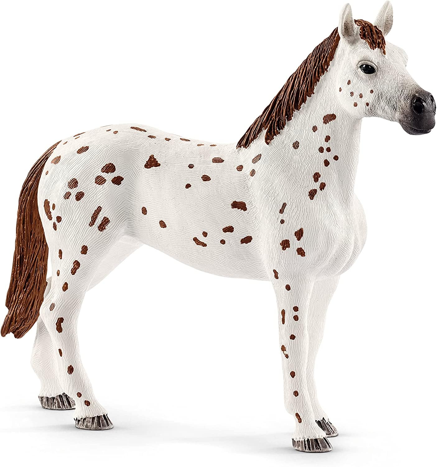 schleich HORSE CLUB Lisa's Tournament Training Horse Playset 17-Piece (Ages 5+) - Made in Germany, Bosnia, Moldova and Romania