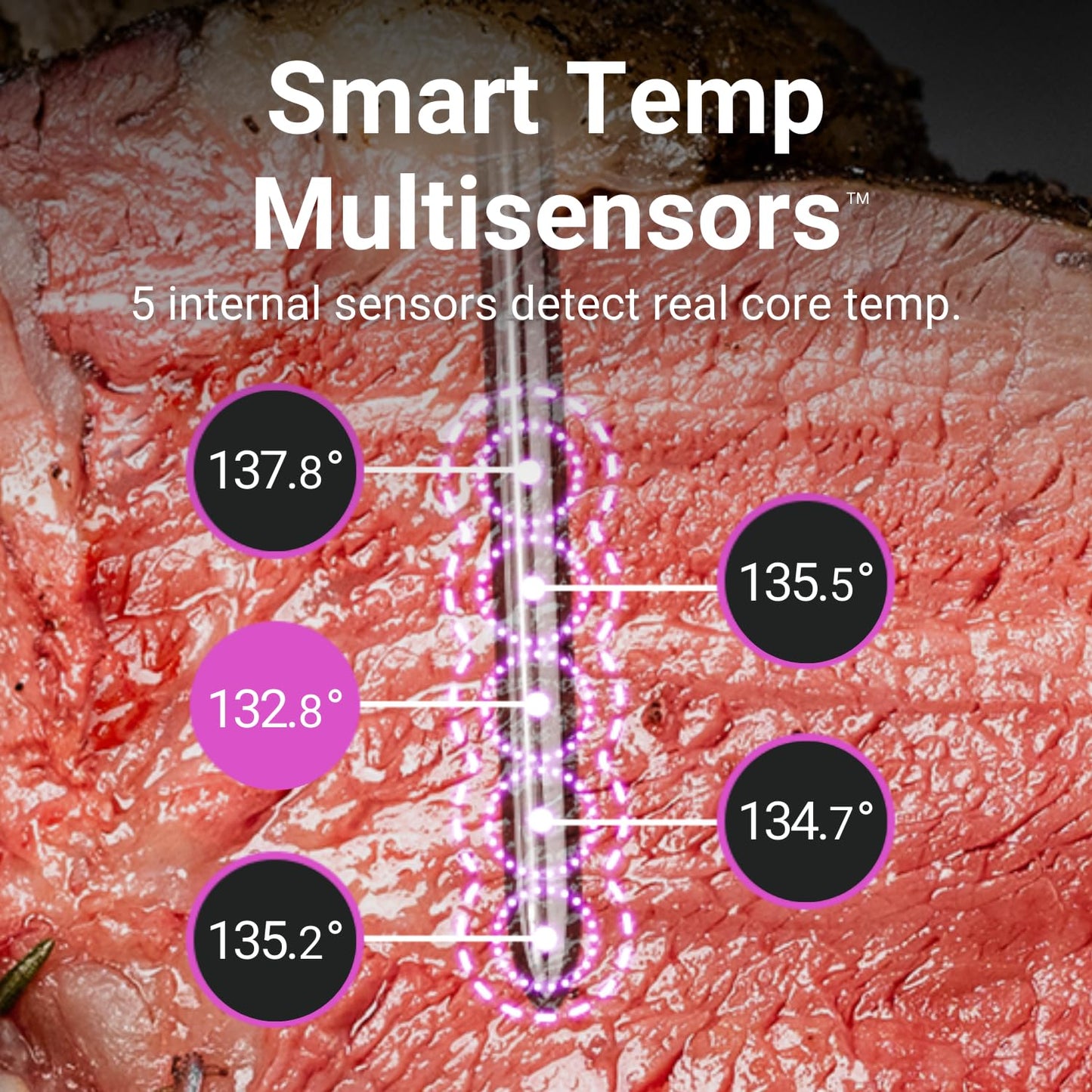 MEATER Pro / 2 Plus: Wireless Smart Bluetooth Meat Thermometer with Free App - Made in Taiwan