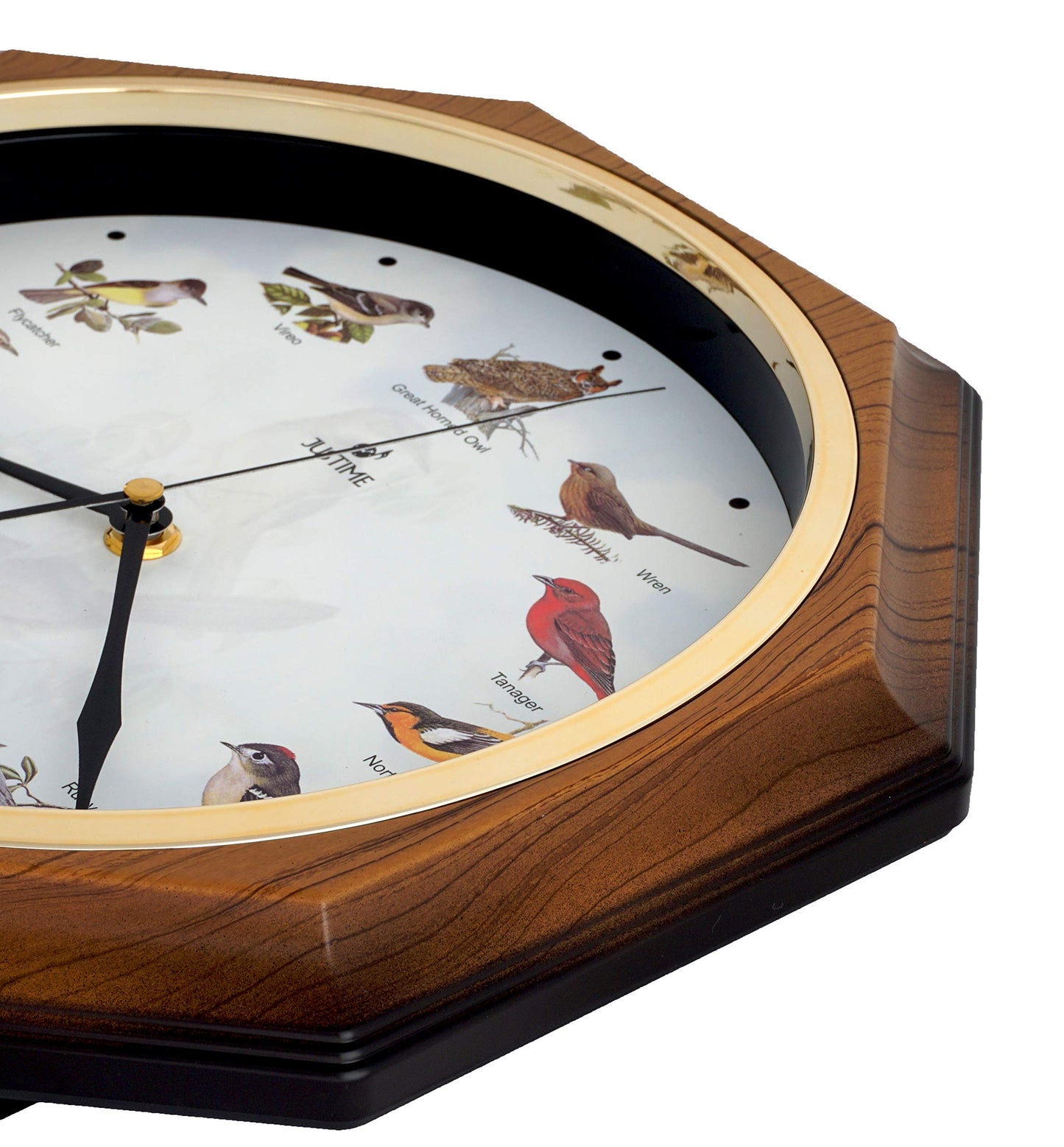 JUSTIME Unique 12 North America Bird's Song Schoolhouse Pendulum Wall Clock Chimes Every Hour Melody - Made in Taiwan