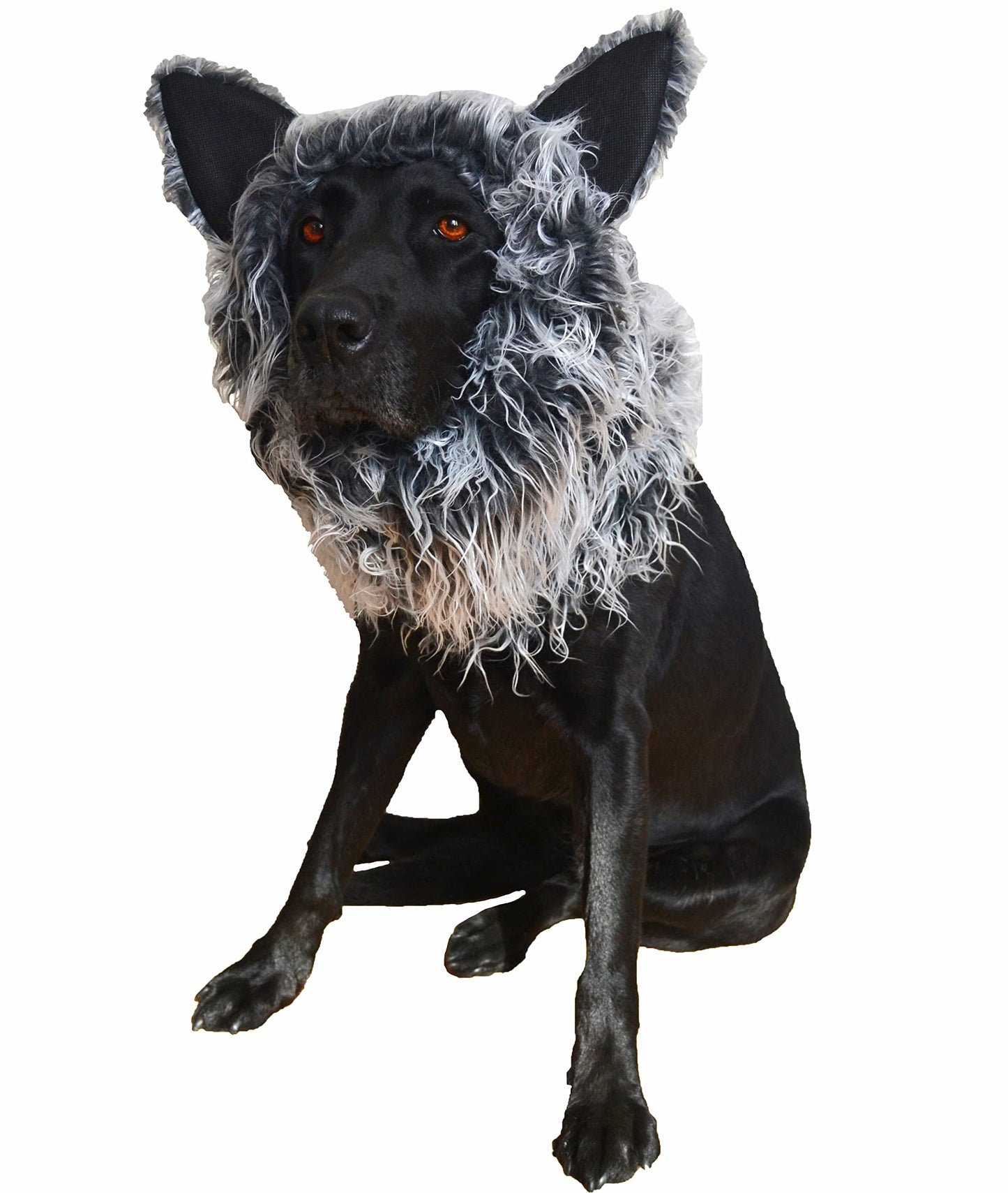 Werewolf Mane Halloween Costume for Medium/Large Dogs - Made in UK