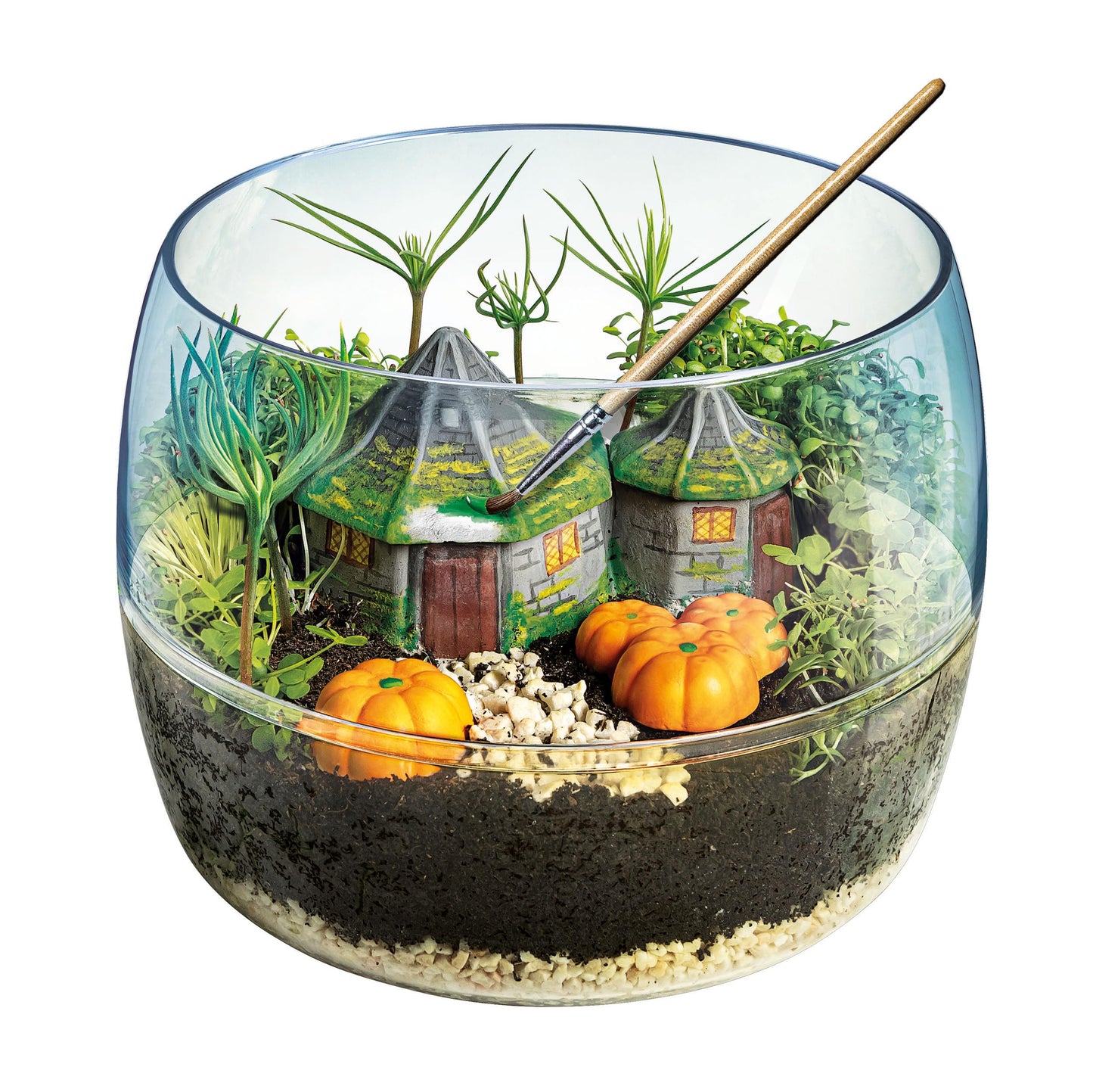 Clementoni Harry Potter Educational Sceintific Terrarium Kit: Build Your Magical Greenhouse (7+ Years) - Made in Italy